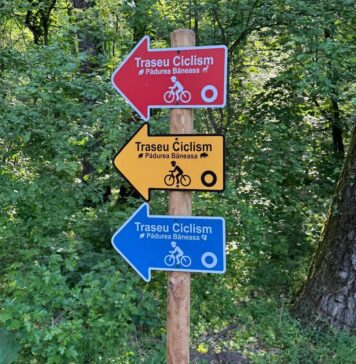 Trasee verzi pentru bicicliști în Pădurea Băneasa. Hai la pedalat în natură! 🚴♂️🌳