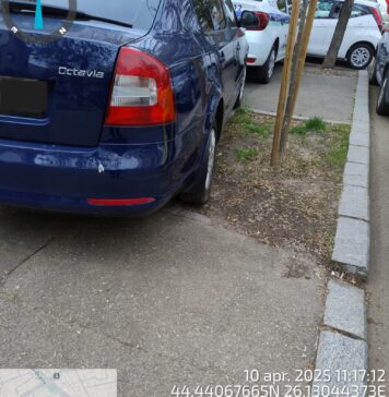 Mașini parcate pe alveolele copacilor în Sectorul 2: șoferii au amendați