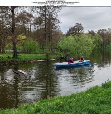 Prima pajiște urbană cu flori de câmp sălbatice din București a fost amenajată în Parcul Tineretului