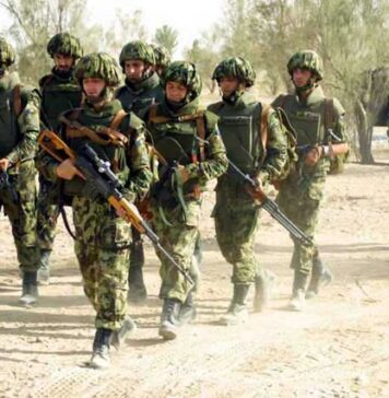 MApN: Peste 460 de rezerviști au semnat contracte cu companii de securitate care au activat în Congo