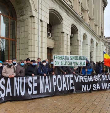 Federația Sindicatelor Silva declanșează miercuri o grevă de avertisment