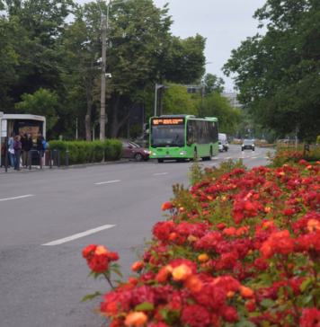 „West Side Flower Fest” și „Parada Micilor Bicicliști” deviază cinci linii din Cartierul Drumul Taberei, precum și liniile de noapte N116 și N121