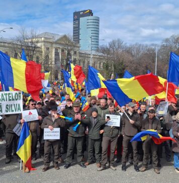 Silvicultorii protestează la Guvern, alături de sindicatele din Confederația Meridian