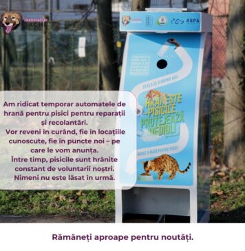 Automatele de hrană pentru pisici, retrase temporar pentru reparații și recondiționare. Voluntarii Asociației Sache continuă hrănirea animalelor