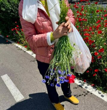 Buchet cu amendă inclusă: Femeie amendată pentru că a rupt flori de pe spațiul verde din zona Lacului Morii