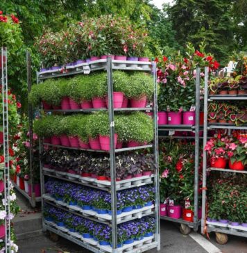 Zilele Horticulturii Bucureștene – Festivalul tradiției, culorii și naturii