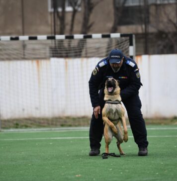 ASPA București: 1 Mai, un omagiu pentru câinii utilitari – eroii care muncesc în liniște, dar salvează vieți