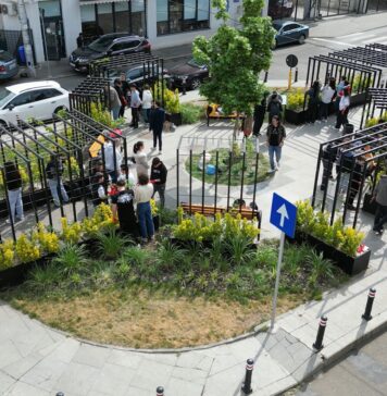 Elevii din Sectorul 2 plantează viitorul: lecție de ecologie urbană în cadrul unui proiect european