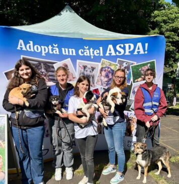 Un nou târg de adopții, în Parcul Tineretului
