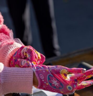 Ilfovul aleargă pentru mediu: Maratonul Reciclării și Competiția Plogging ecoTrack, sâmbătă în Pădurea Pustnicu