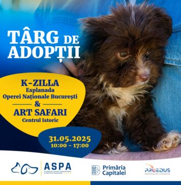ASPA participă la finalul acestei săptămâni la două târguri de adopții de căței