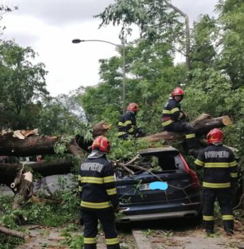 Copac prăbușit peste două mașini și un gard în Sectorul 1 – Trafic blocat pe strada G-ral Constantin Budișteanu
