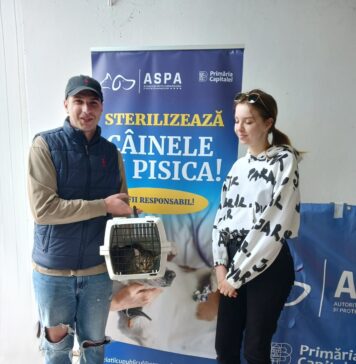 Sterilizări gratuite de câini și pisici, în această săptămână,