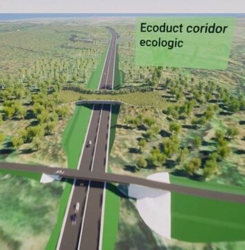 Sorin Grindeanu: Drumul de mare viteză Craiova-Târgu Jiu parcurge o noua etapă importantă!