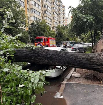 Copac doborât de vânt peste o mașină, în Sectorul 2