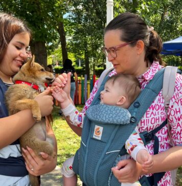 ASPA pregătește două spații special amenajate pentru copii