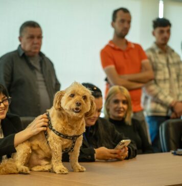 EduPET – curs-suport despre animale, dedicat angajaților din firme și instituții