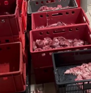 Imagini șocante într-un abator de lângă București: ANPC a dispus închiderea imediată – FOTO