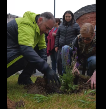 Campanie de înverzire în Sectorul 2: Primarul Rareș Hopincă plantează arbori în curtea unei școli