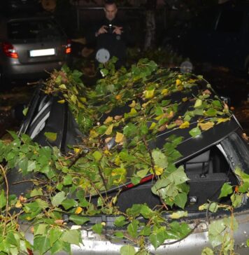 Furtuni violente în țară: Gospodării inundate, copaci căzuți și mașini avariate în 12 județe și București