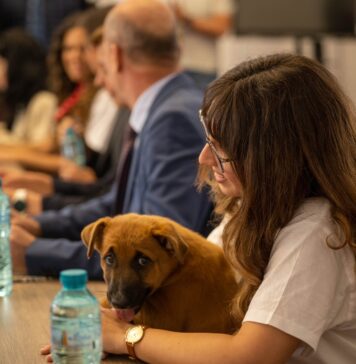 „Ora cu și pentru animale” – opționalul ilfovean care ar putea deveni materie națională pentru elevii de gimnaziu