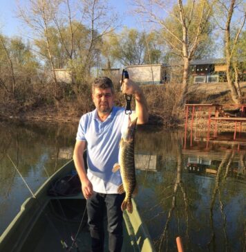 Cornel Nistorescu: „Ciolacu a înglodat România în datorii până în pragul falimentului; şcolit pe fugă și prin pauze de cafea, cu diplome de ici-colo, vorbind românește cam păsărit, și mincinos, și prefăcut, și cu tupeu, bucălatul de Buzău a împins țara la necaz”