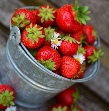 Festivalul Căpșunilor revine la București! 3 zile pline de savoare, culoare și bucurie în Parcul Izvor