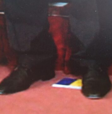 Cornel Nistorescu: „Aceasta să fie ţara mea?”