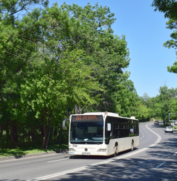 „Străzi Deschise”: liniile 282 și N120 – deviate de pe Strada Maior Vasile Băcilă în perioada 06-09.06.2025