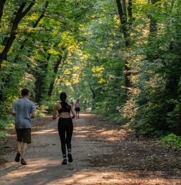 Asociația Parcul Văcărești solicită Guvernului să nu permită deschiderea traficului auto prin Pădurea Băneasa: ”Pădurea nu e o soluție la traficul din București”