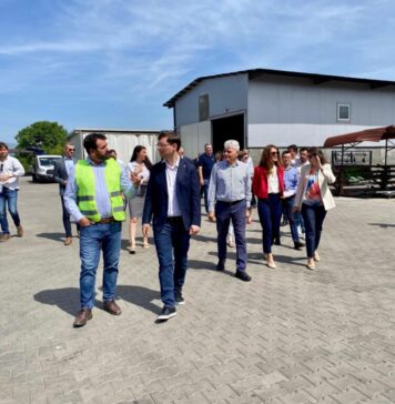 Victor Negrescu: Există în România multe exemple pozitive de antreprenori, manageri și lucrători care mișcă România și care au forța să dezvolte afaceri de succes cu un plus de sprijin