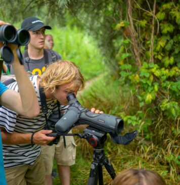 Tur ghidat, duminică, în Parcul Natural Văcărești