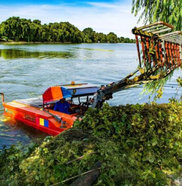 Lacul Mogoșoaia, ecologizat cu sprijinul CJ Ilfov și al voluntarilor