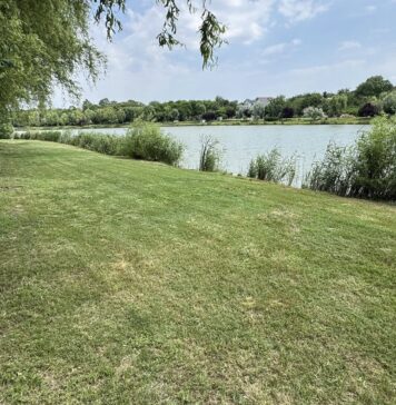 Cea mai mare zonă verde din Popești-Leordeni, deschisă publicului: peste 5 hectare pentru relaxare și timp liber