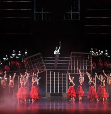 Zece mii de spectatori au participat la cea de-a patra ediție a Bucharest Opera Festival / Când va avea loc următoarea ediție