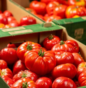 Doar roşii de la producători locali, în magazinele Lidl din București și Ilfov