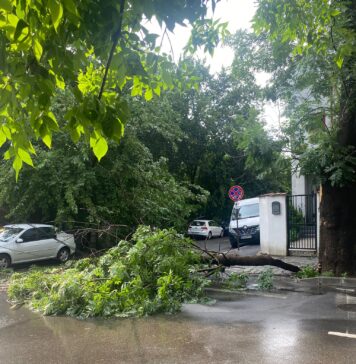 Furtună în Capitală. Copaci căzuți pe străzi și bulevarde, mașini avariate, locuințe inundate