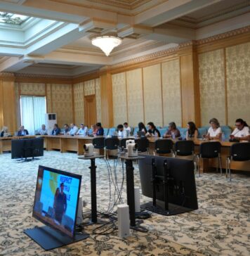 Decalogul pentru animale – un plan de 10 măsuri legislative pentru o Românie care respectă viața animalelor