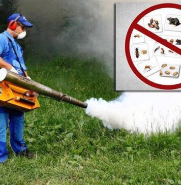 Primăria Sectorului 1: Începe tratamentul contra țânțarilor și căpușelor!