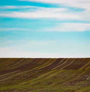 ANCPI: Peste un milion de documente, eliberate online în 2025