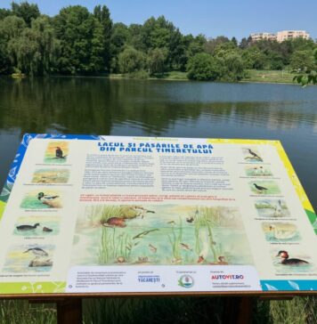 Ziua Mondială a Mediului: „Copiii în armonie cu natura” – un proiect educațional lansat de Primăria Capitalei