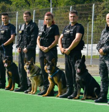 Polițiștii vor folosi la Neversea Kapital câini special antrenați pentru depistarea substanțelor interzise