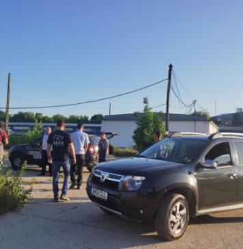 Câini agresivi, capturați de ASPA în Poligonul Ilioara