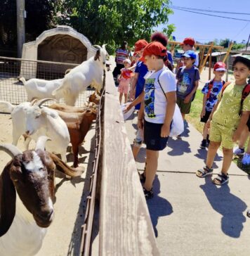 Zi de neuitat pentru copiii din centrele DGASPC Sector 2, la Ferma Animalelor din Pantelimon