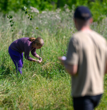Administrația Parcului Natural Văcărești a plantat în această primăvară peste 200 de puieți autohtoni