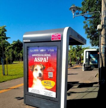 ASPA și STB continuă parteneriatul pentru a promova adopția câinilor