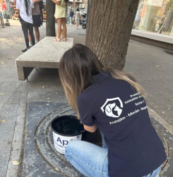 Recipiente cu apă pentru animale, instalate în mai multe zone din Sectorul 1