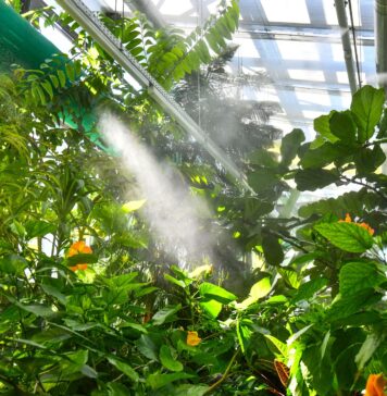 Serele exotice din Parcul Drumul Taberei: Răcoare, natură și magie tropicală, în inima Sectorului 6