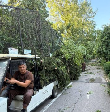 Grădina Zoologică București se închide temporar din cauza pagubelor aduse de furtună