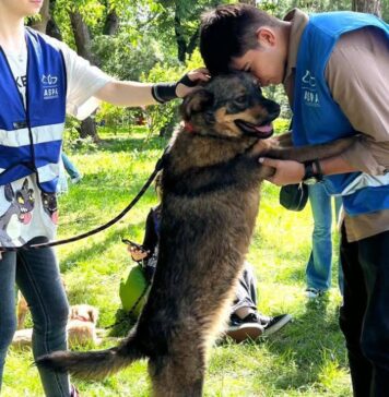 Un nou târg de adopții, sâmbătă, în Parcul Izvor